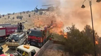 حريق كبير يندلع في منطقة صوّان بقعقعية الجسر جنوب لبنان